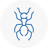 Ant Removals In Merseyside