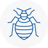 Bed Bug Extermination In Merseyside
