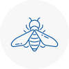 Bee Nest Removal Merseyside