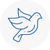 Bird Prevention Merseyside