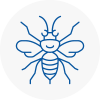 Merseyside Hornet Nest Removals