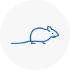 Mice Exterminators In Merseyside