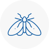 Moth Control Specialists In Merseyside