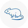Rat Control Merseyside