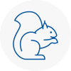 Merseyside Rodent Removals