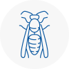 Merseyside Wasp Nest Removal